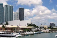 Miami City and Boat Tour thumbnail 5