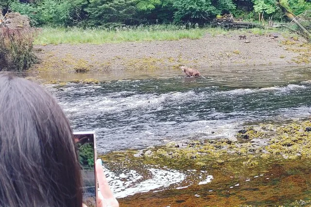Juneau Private Bear Viewing Tour - Image 3