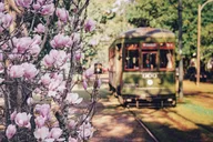 New Orleans Private City Tour thumbnail 2