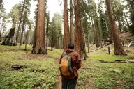 San Francisco to Los Angeles California Parks Tour thumbnail 2