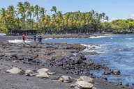Kailua-Kona Volcanoes and Black-Sand Beach Tour thumbnail 6
