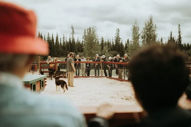 Fairbanks Kennel Visit at Trail Breaker - Image 3
