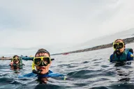 La Jolla Kayak and Snorkel Tour for Two thumbnail 3