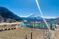 Tokyo Mount Fuji & Hakone Private Tour thumbnail 1