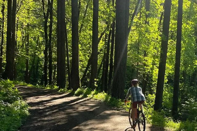Portland Gravel Bike and E-Bike Tour in Forest Park - Image 2