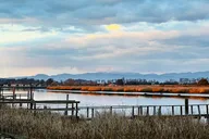 Napa Valley Kayak Tour thumbnail 5
