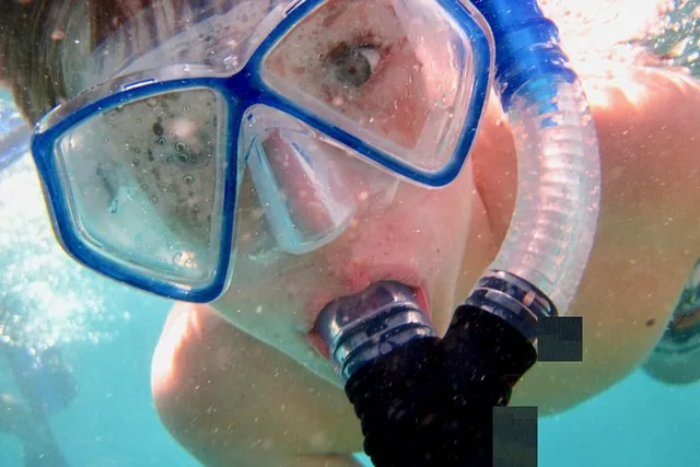 Big Pine Key Snorkel Tour at Looe Key - Image 3