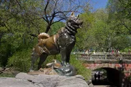 New York Central Park Pedicab Tour 2 hr thumbnail 4
