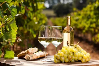 Sedona Wine Tour Verde Valley Wineries 5 hr