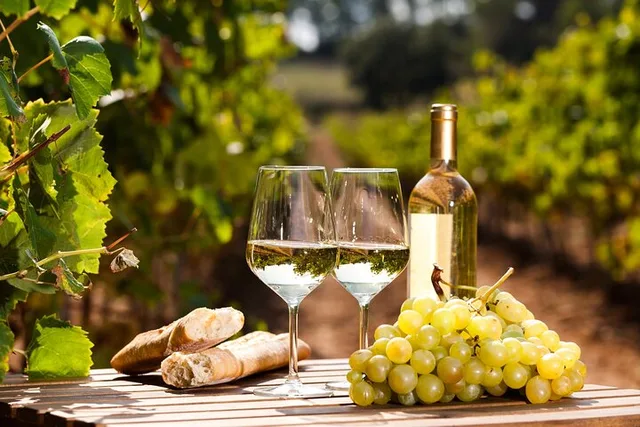 Sedona Wine Tour Verde Valley Wineries 5 hr - Image 1