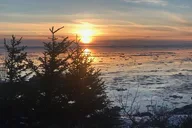 Anchorage City Tour and Portage Cruise thumbnail 3