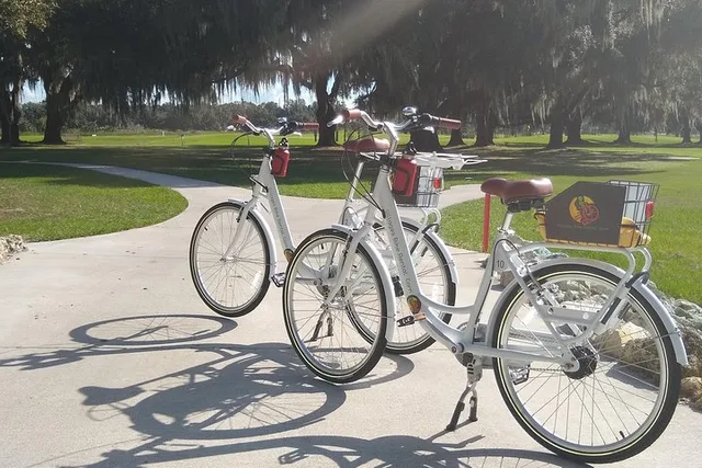 The Villages Bicycle Rental with Free Delivery - Image 2