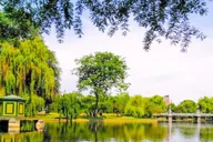 Boston Public Garden and Beacon Hill Half-Day Tour thumbnail 4