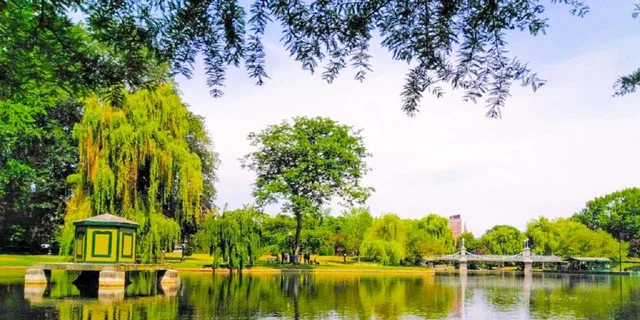Boston Public Garden and Beacon Hill Half-Day Tour - Image 4