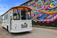 St Petersburg City Trolley Tour thumbnail 1