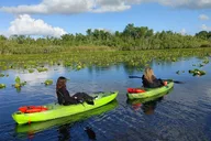 Orlando Kayaking Manatee Tour thumbnail 3