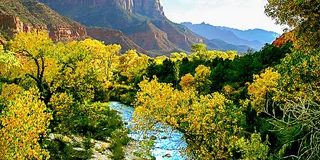Las Vegas Grand Canyon and Zion National Park Tour