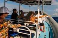 Kailua-Kona Snorkeling Tour with Lunch 4 hr thumbnail 6