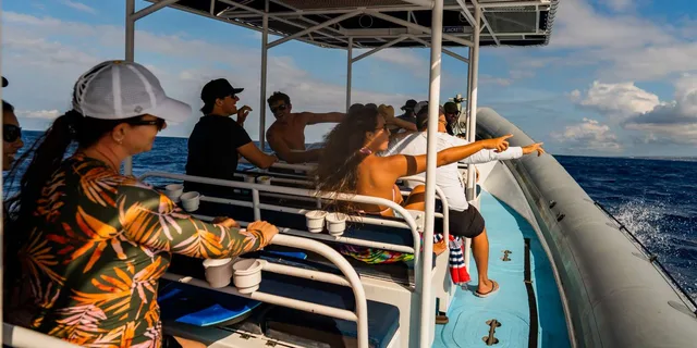 Kailua-Kona Snorkeling Tour with Lunch 4 hr - Image 6