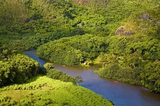 Kauai Waimea Canyon & Wailua River Day Trip