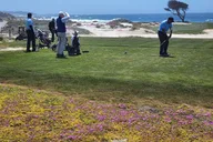 San Francisco Monterey and Carmel Private Tour thumbnail 2
