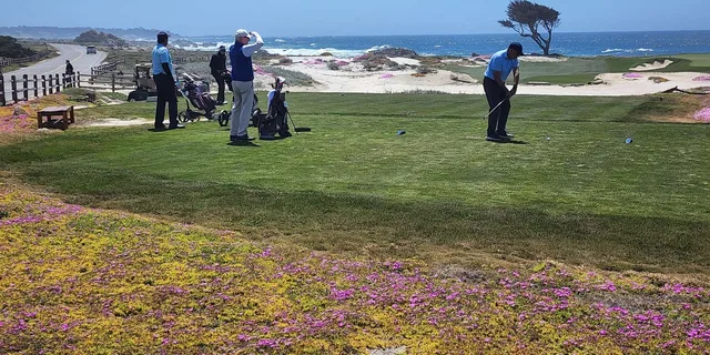 San Francisco Monterey and Carmel Private Tour - Image 2