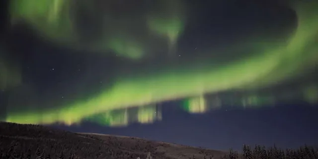 Fairbanks Northern Lights Private Tour 5 hr - Image 3