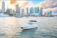 Miami Boat Tour thumbnail 6