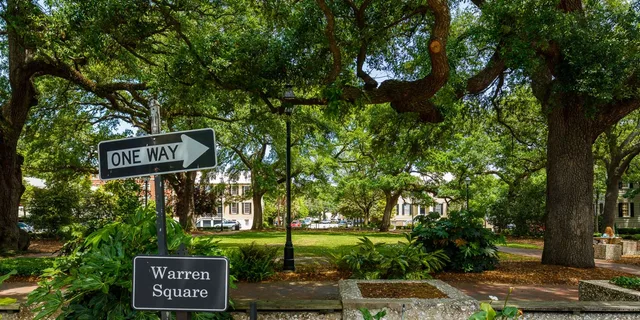 Savannah History and Culture Walking Tour - Image 2