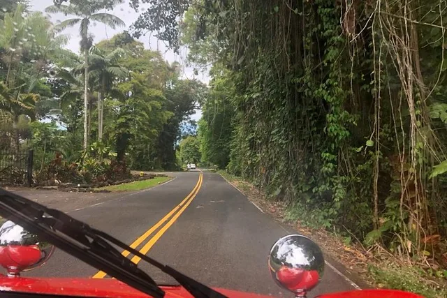 Big Island Buggy Rental in Hawaii - Image 6
