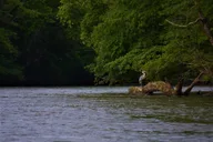 Asheville Self-Guided Kayaking by the Biltmore thumbnail 5