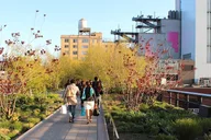 New York City Walking Tour of High Line and Chelsea thumbnail 6