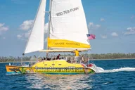 Panama City Beach Dolphin Sightseeing Catamaran Tour thumbnail 5