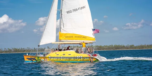 Panama City Beach Dolphin Sightseeing Catamaran Tour - Image 5