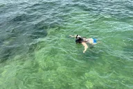 South Padre Island Snorkeling Excursion thumbnail 3