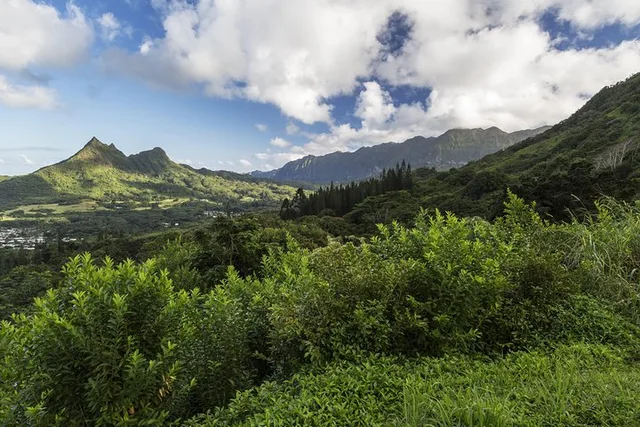 Oahu Circle Island Tour from Ko'olina - Image 5
