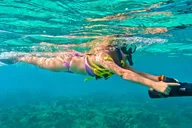 West Palm Beach Jet Snorkel Experience thumbnail 1