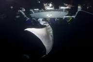 Kailua-Kona Manta Ray Snorkel Tour at Sunset thumbnail 2