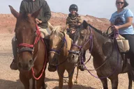 Las Vegas Horseback Riding Tour thumbnail 4