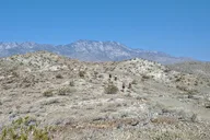 Palm Springs Oasis and Desert Views Hike thumbnail 3