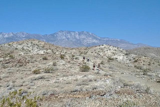 Palm Springs Oasis and Desert Views Hike - Image 3