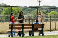 San Antonio Wildlife Safari Drive-Thru thumbnail 3