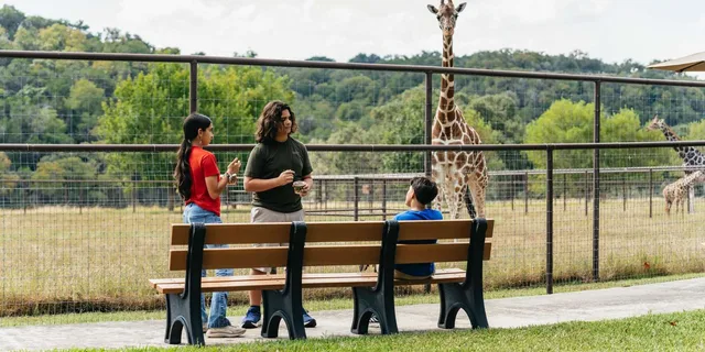 San Antonio Wildlife Safari Drive-Thru - Image 3