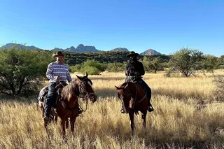 Catalina State Park Horseback Ride