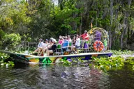 Jacksonville Airboat Tour on St. Johns River thumbnail 3