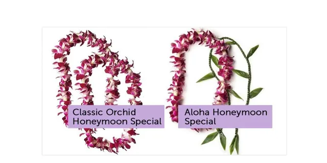 Kona Airport Lei Greeting for Honeymooners - Image 3