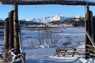 Jackson Hole Dog Sledding and Snowmobiling Tour thumbnail 4