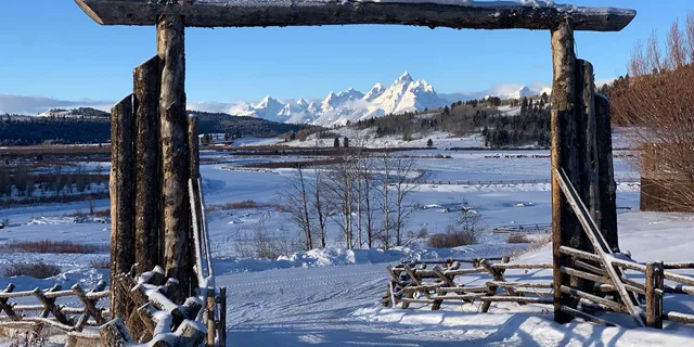 Jackson Hole Dog Sledding and Snowmobiling Tour - Image 4