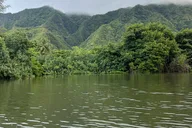 Oahu Kayaking Tour on Kahana River thumbnail 1