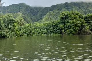 Oahu Kayaking Tour on Kahana River